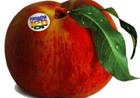 PGI Romagna peach