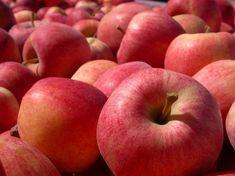 Washington apple crop down on estimates