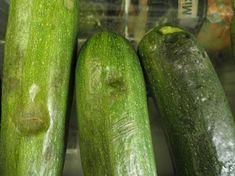 Courgettes that should not have been offered for sale by Ilyas