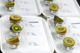 NZ kiwifruit testing