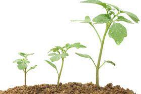AgroFresh LandSpring
