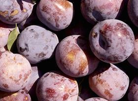 Murcia stonefruit