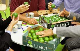 Don LimoÌn limes from Mexico