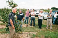 Sandys Dawes gives wholesalers the latest information on English top-fruit prospects