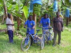 Agrofair bananas for bikers