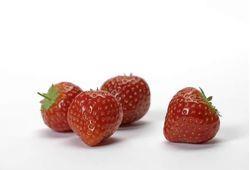 Hoogstraten strawberries