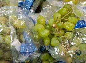 India IN grape seedless green retail gen