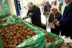 Pembrokeshire spuds hit Asda