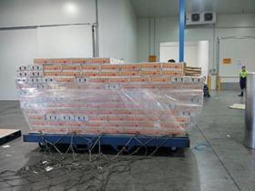 AU Mangoes packed and ready for export to the USA