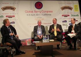 Global Berry Congress 2011 panel