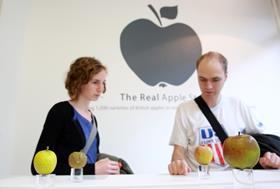Real apple store