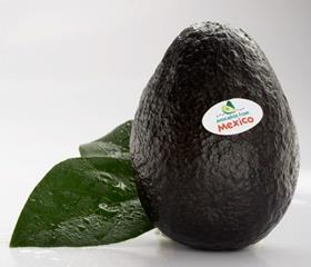 Mexican avocados