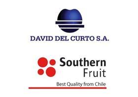 David del Curto and Southern Fruit logo