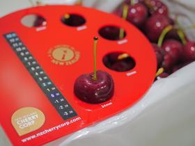 New Zealand Cherry Corp