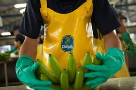 Chiquita Banana Bunch