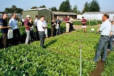 Growers warned over 2008 spinach supply
