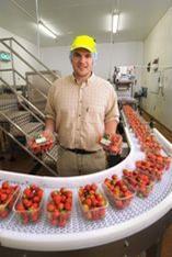 Co-op strawbs, Rob Hull, head of vegetable operations