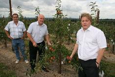 Goatham shakes up top-fruit game