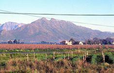 South Africa surges ahead