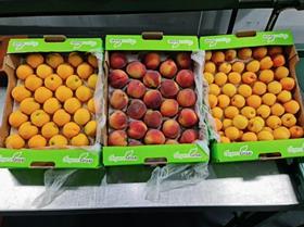 OTC Organics OrganoGroup organic Nectarcots Peaches Apricots