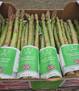 Cobrey Farms asparagus