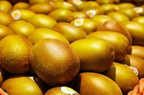 Zespri gold kiwifruit New Zealand