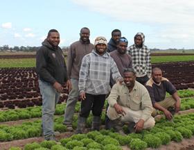 AU Riviera Farms Seasonal Worker Programme