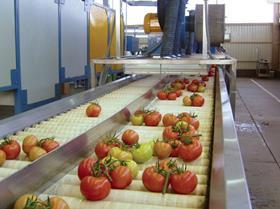 Mexican tomatoes sorting machine