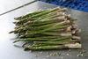 Peruvian asparagus runs short