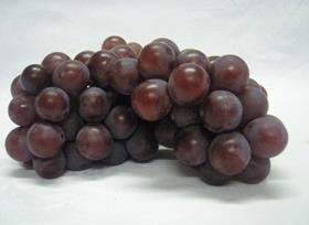 Red Niagara Brazil grape