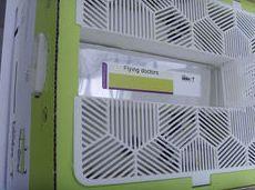Biobest Flying Doctors