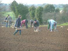 Large tracts of farming could disappear if government immigration plans are enforced