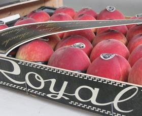Fresh Royal peaches
