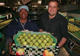 Betko Goal Fruit Packhams pears