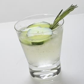 Gin tonic cucumber CREDIT Didriks