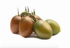 Plum choc tomato Top Seeds International Tomachoc range