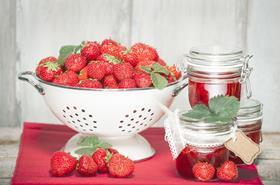 Landgard strawberries
