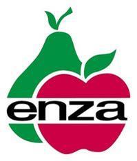 Enza returns to growers fall year-on-year