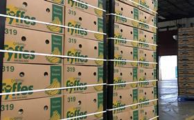 Fyffes Philadelphia food donation