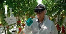 p20 pic1 CREDIT Syngenta TAGS tomatoes augmented virtual reality Hololens Tomato Vision