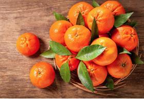 MA Delassus clementine citrus