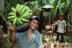 Fairtrade Fortnight to be bigger and better