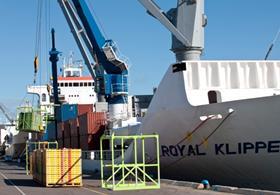 Tauranga Zespri vessel kiwifruit loading