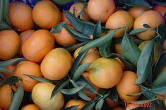 UK still satsuma saviour