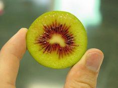 NZ kiwi season draws to a close