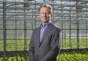 NL Ton Wortel Greenery