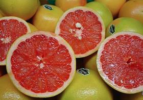 Honduras grapefruit
