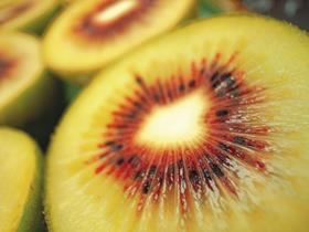 Kiwifruit Hongyang