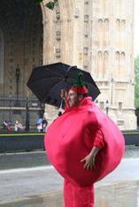 Tomatoes hit Houses of Parliament