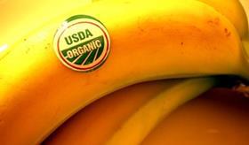 organic bananas